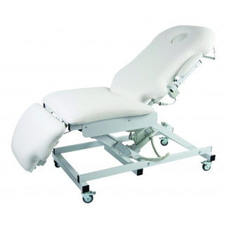 SkinMate 4 Motor Ergonomic Electric CouchSkinMate 4 Motor Ergonomic Electric Beauty Bed / Massage Table