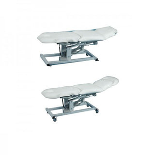 SkinMate 4 Motor Ergonomic Electric Beauty Bed / Massage Table