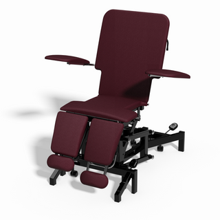 Plinth Electric 4 Section Burgundy Tattoo Chair