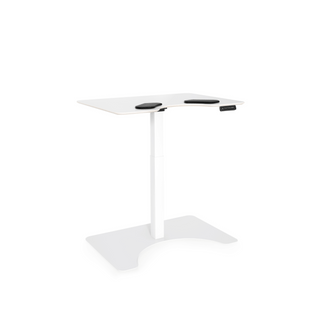 Salli E-Desk with Electric Height Adjustment 1