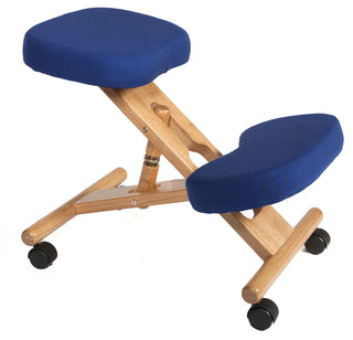 Ergo Posture Kneeling Chair - Blue / Knee Chair