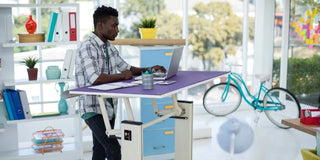 Salli Small Adjustable Desk (Standing Desk)
