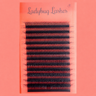 10D Clover Lashes – 16 Row Mixed Tray
