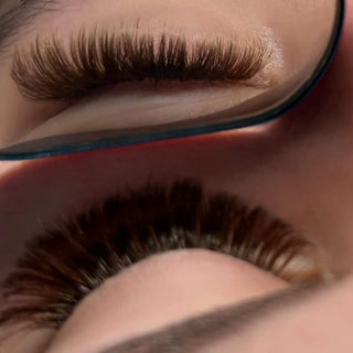 Brown Volume Silk Lashes 16 Row Mixed Tray