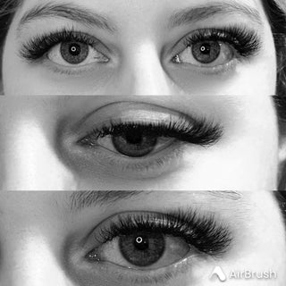 4D Clover Lashes – 16 Row Mixed Tray