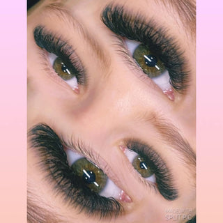 6D Clover Lashes – 16 Row Single Length Trays