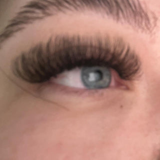 Brown 6D Clover Lashes – 16 Row Mixed Tray
