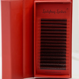 Brown 6D Clover Lashes – 16 Row Mixed Tray