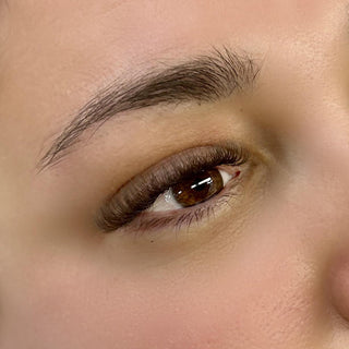 Brown 6D Clover Lashes – 16 Row Mixed Tray