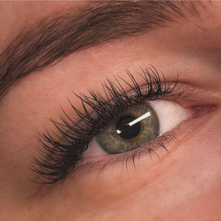 Cashmere Flat Classic Lashes – Single Length Trays