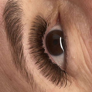 Brown Fairy Lashes – Mixed Tray