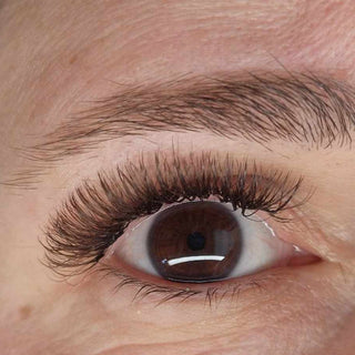 Brown Fairy Lashes – Mixed Tray