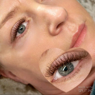 Brown W Lashes – 16 Row Single Length Trays