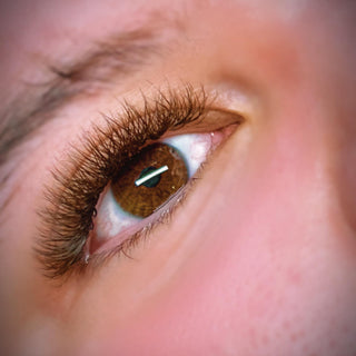 Brown W Lashes – 16 Row Single Length Trays