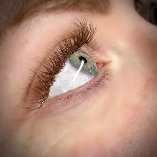 Brown YY Lashes – Mixed Tray