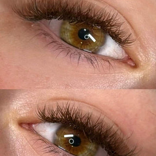 Brown Cashmere Flat Classic Lashes – Mixed Tray