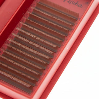 Brown Cashmere Flat Classic Lashes – Mixed Tray