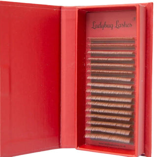 Brown Cashmere Flat Classic Lashes – Mixed Tray