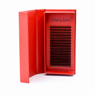 Premade Angel Lashes 5D Closed Fans 16 Row Single Length Trays