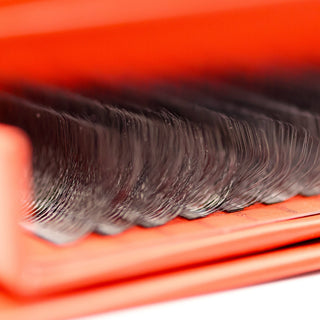 10D Clover Lashes – 16 Row Mixed Tray