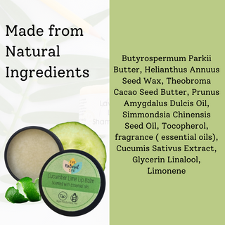 Cucumber Lime Natural Lip Balm | Vegan, Hydrating & Nourishing | Plastic-Free, Handmade Lip Care