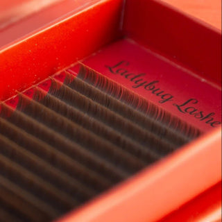 Brown Cashmere Flat Classic Lashes – Mixed Tray