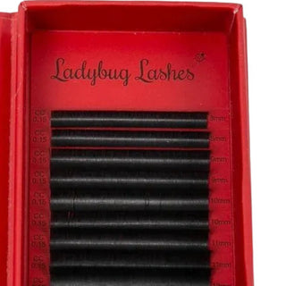 Cashmere Flat Classic Lashes – Single Length Trays