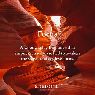 Focus Eau de Parfum | Sharpen Focus & Awaken the Senses 100ml