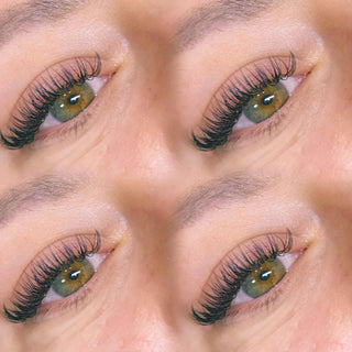 Cashmere Flat Classic Lashes – Single Length Trays