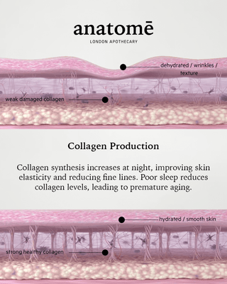 Illuminating Rose-hip, Grape Seed & Avocado Face Oil