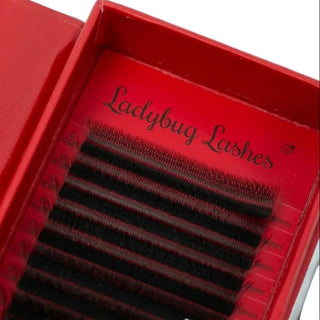 W Lashes – 16 Row Single Length Trays