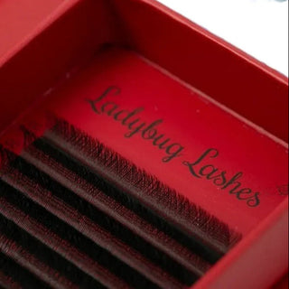 YY Lashes – 8–15mm Mixed Tray