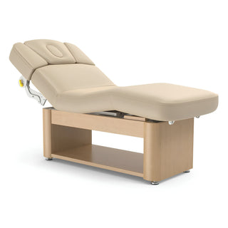 Master Massage Yosemite Electric Beauty Bed