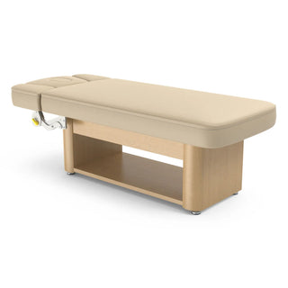 Master Massage Yosemite Electric Beauty Bed rear side view