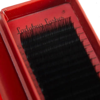 Mega Volume Lashes – Mixed Tray 16–20mm