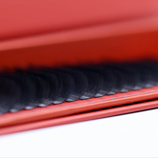 U Lash Trays 16 Row Mixed Length 2D (Double Classics), 3D, 4D & 5D