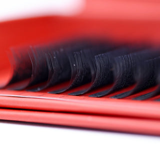 Fairy Lashes – Mixed Tray