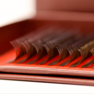 Brown YY Lashes – Mixed Tray