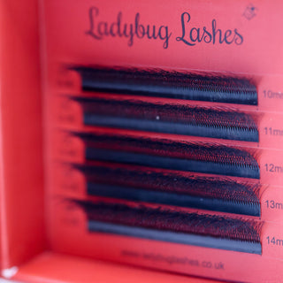 4D Clover Lash Sample Tray – 5 Rows
