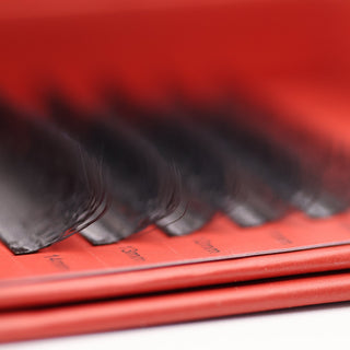 4D Clover Lash Sample Tray – 5 Rows