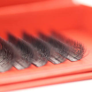 4D Clover Lash Sample Tray – 5 Rows