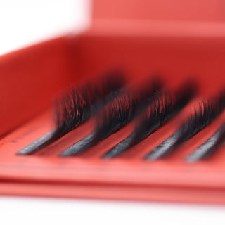 4D Clover Lash Sample Tray – 5 Rows
