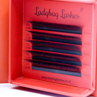 8D Clover Lash Sample Tray – 5 Rows