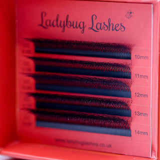 8D Clover Lash Sample Tray – 5 Rows