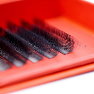 8D Clover Lash Sample Tray – 5 Rows