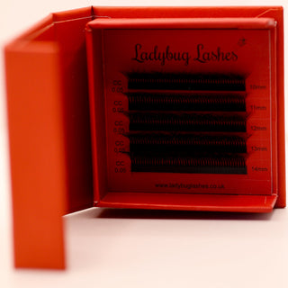 10D Clover Lash Sample Tray – 5 Rows