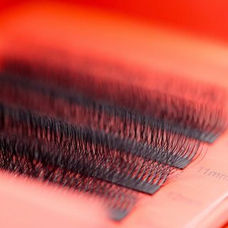 10D Clover Lash Sample Tray – 5 Rows