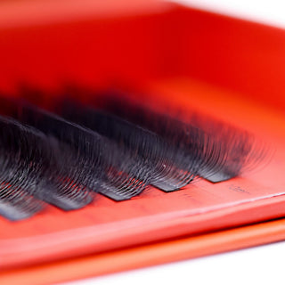10D Clover Lash Sample Tray – 5 Rows