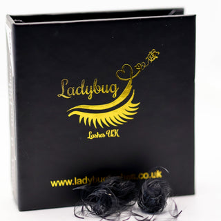Loose Promade Fans 8D–20D D Curl