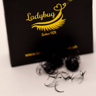 Loose Promade Fans 8D–20D D Curl